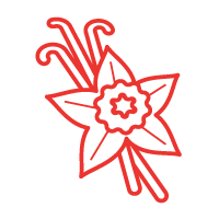 Icon-4